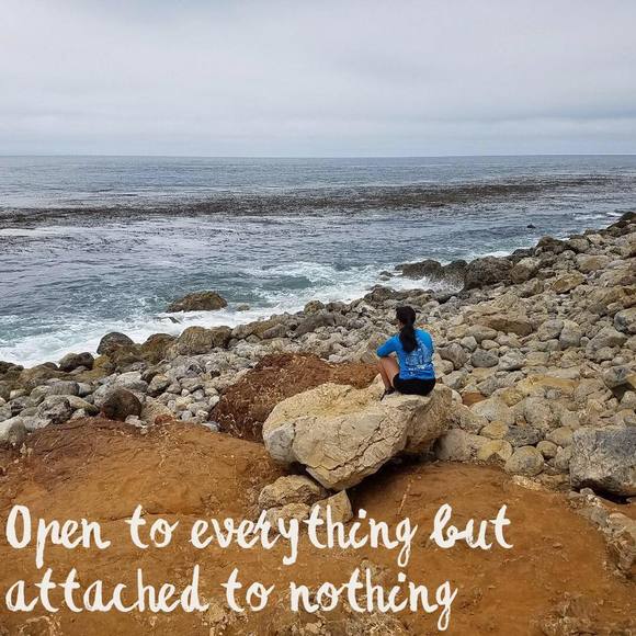 Meet your Posher, Sharonlee - Picture 1 of 1